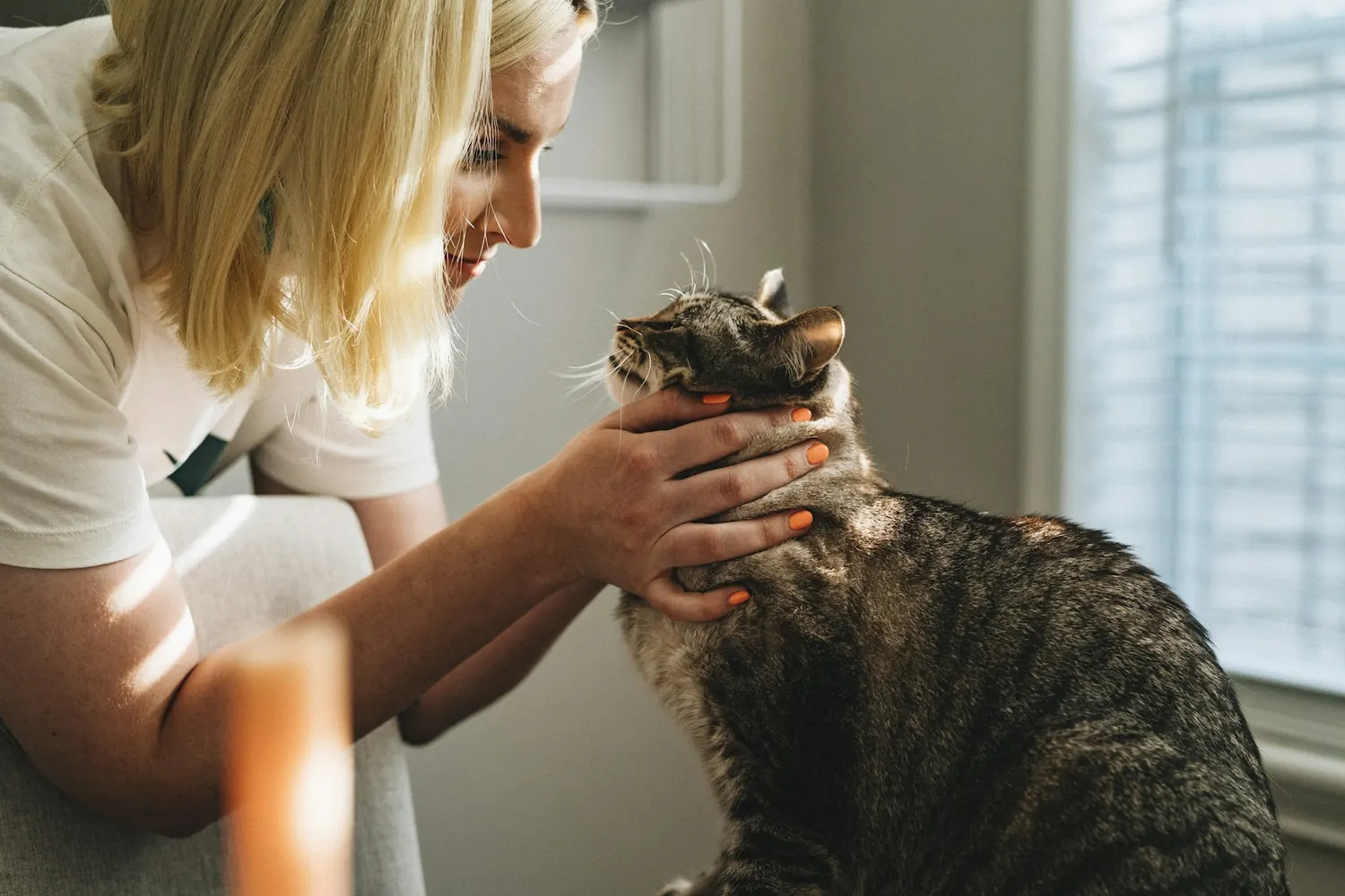 Una mujer acaricia a su gato junto a una ventana